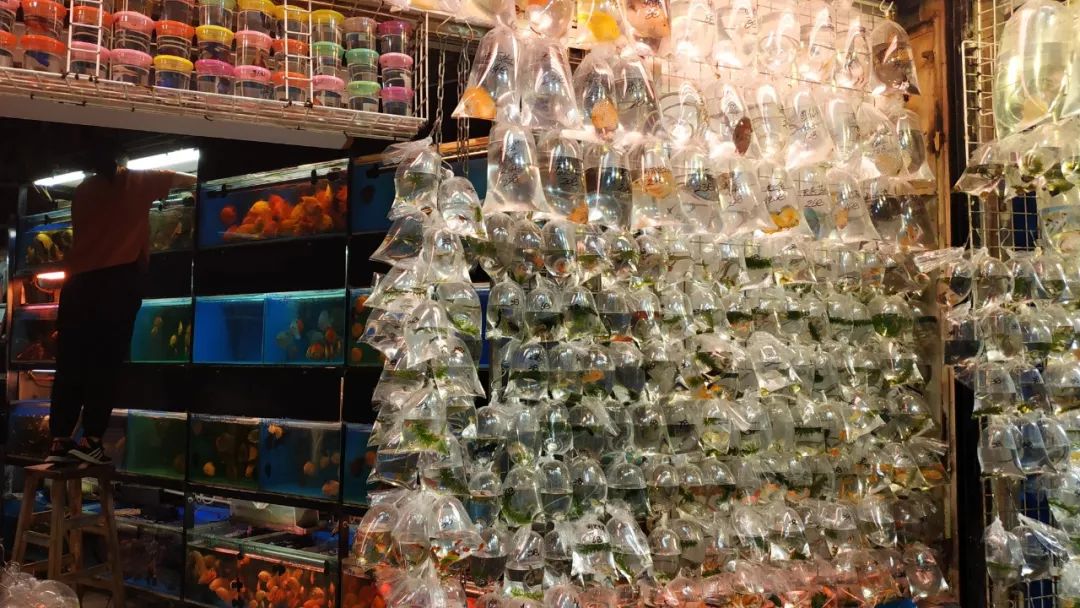 香港值得去的购物街,香港购物必去的街