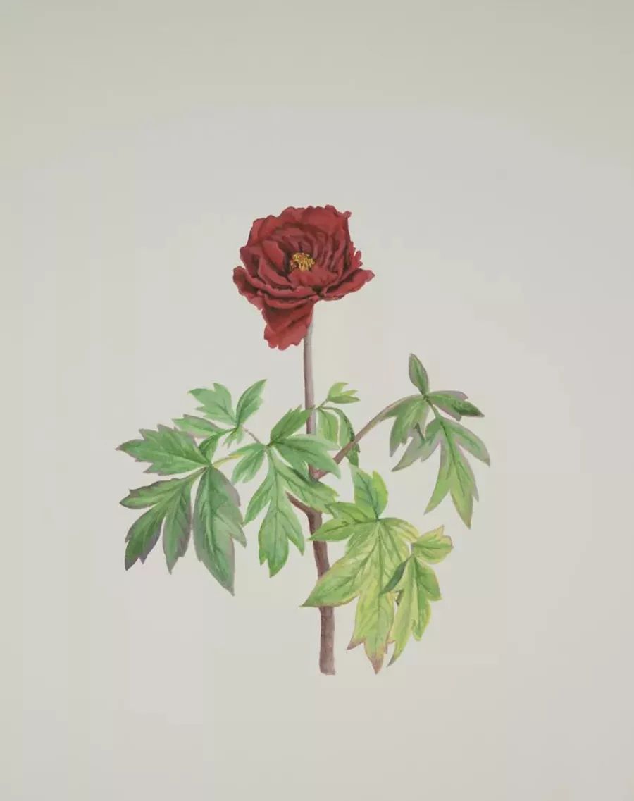 7月份北京艺术展览推荐,北京7月展览活动2018