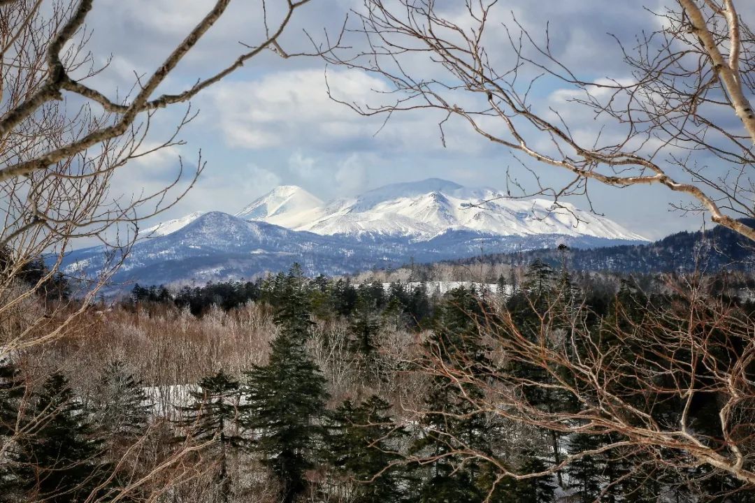 日本最后的秘境,日本最北端北海道