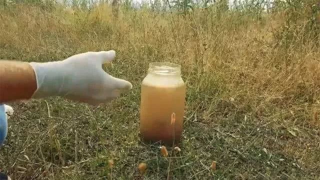 可乐腐蚀骨头辟谣,可乐骨质疏松最大谣言