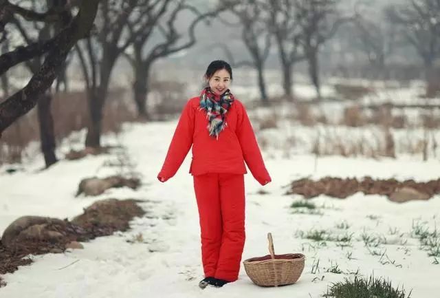 读灯光这一本书有哪些感受,带灯小说阅读