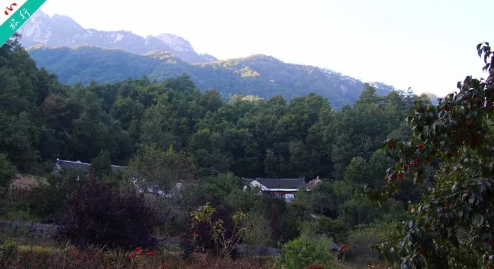 洛阳市养子沟旅游攻略,养子沟一日旅游攻略