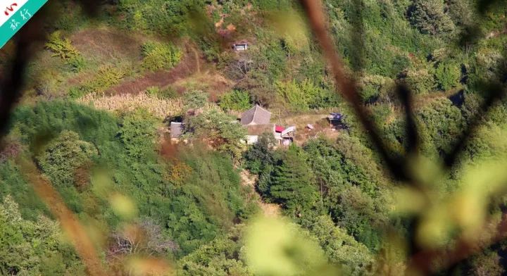 洛阳市养子沟旅游攻略,养子沟一日旅游攻略