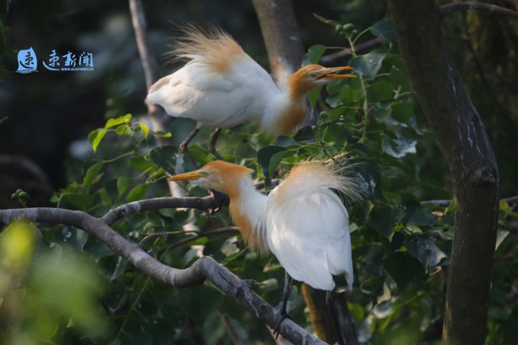 守护一江碧水完整视频,守护好一江碧水工作职责