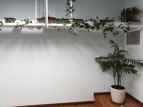 加盟优家宝贝母婴店需要多少钱,加盟优家宝贝一个店面能要多少钱