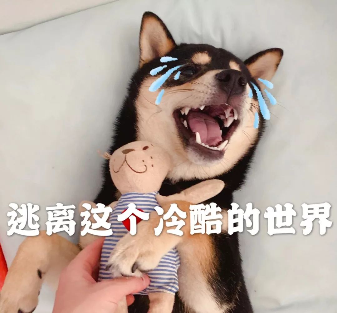 闺蜜骗40万元,闺蜜被骗17万