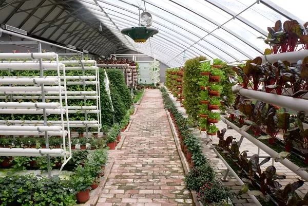 北京海淀对接赤城县扶贫项目,海淀对口扶贫