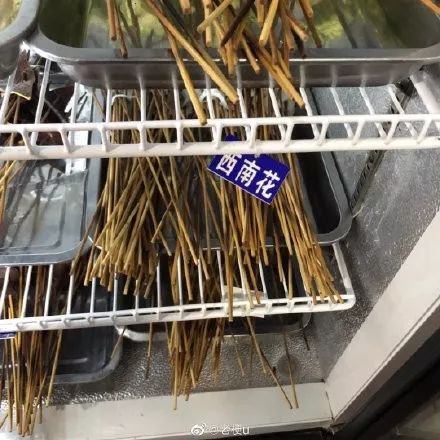 搞笑的错别字有哪些,你见过最搞笑的字