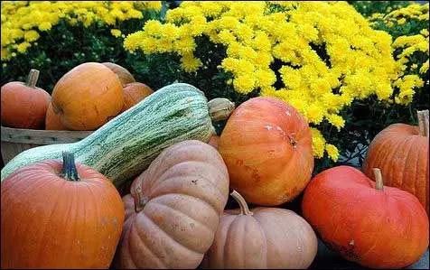 农业农村部摸底调查“三区三州”深贫区特色农产品，两次点到四川的这个地方