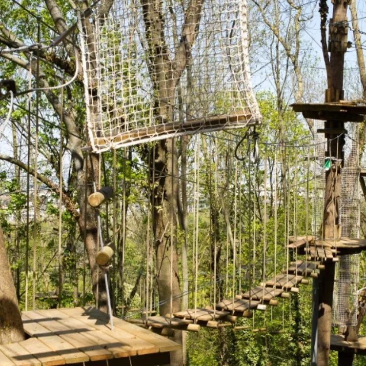 鏍戦《鎺㈤櫓鍏洯娓哥帺,鏍戦《鎺㈤櫓鍏洯娓哥帺鏀荤暐