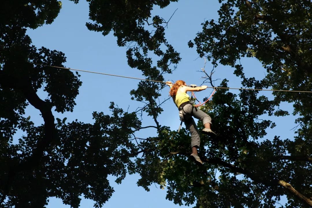 鏍戦《鎺㈤櫓鍏洯娓哥帺,鏍戦《鎺㈤櫓鍏洯娓哥帺鏀荤暐