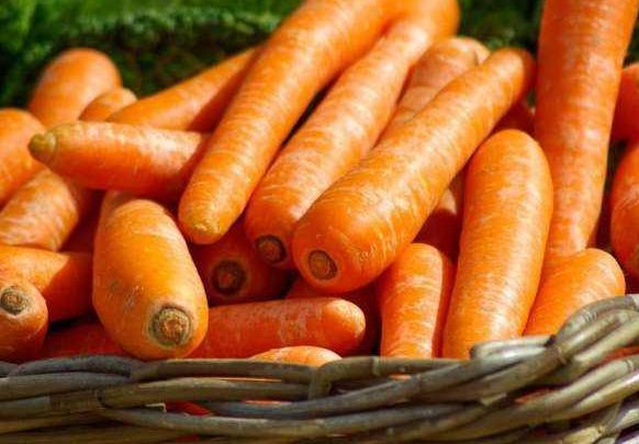 胡萝卜保护视力可以天天吃吗,胡萝卜保护视力的功效