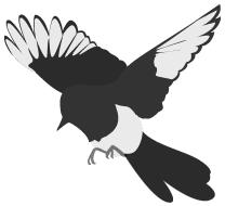 盐湖城总决赛2019,区运会足球比赛决赛