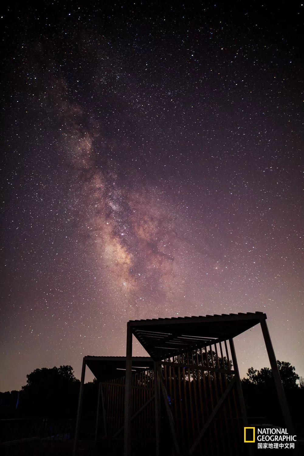 南京紫金山灵谷寺萤火虫,南京灵谷寺哪里可以看到萤火虫
