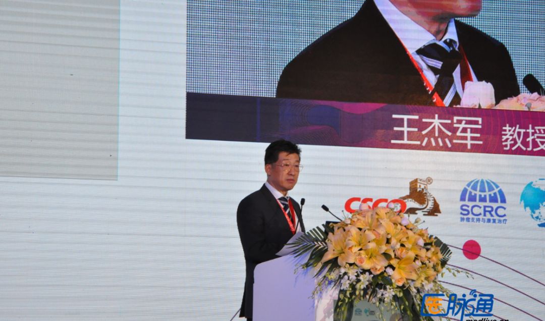 支持治疗与姑息治疗,支持与姑息