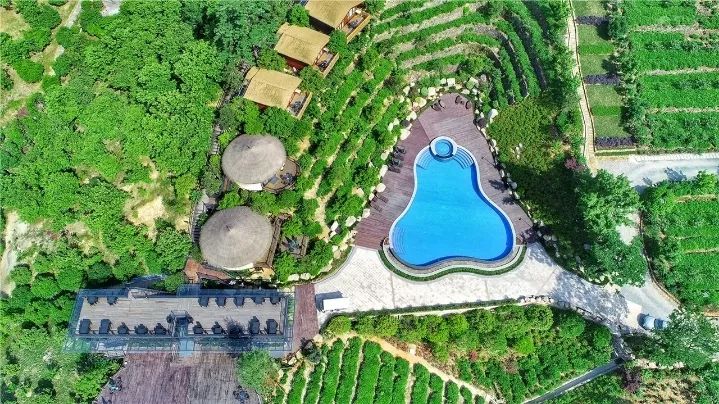 全球最受欢迎树屋酒店｜夜晚坠入大自然的梦乡，清晨在森林的枝桠间醒来