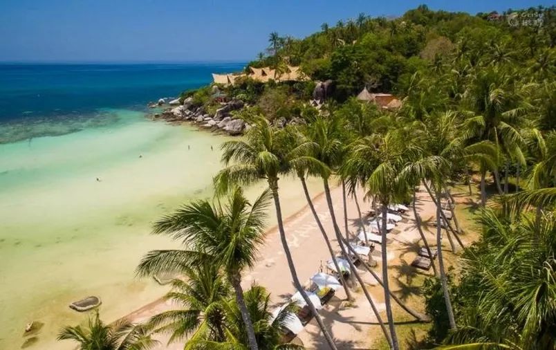 全球最受欢迎树屋酒店｜夜晚坠入大自然的梦乡，清晨在森林的枝桠间醒来