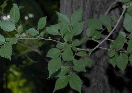 为什么作家喜欢读书,为什么作家喜欢写土地
