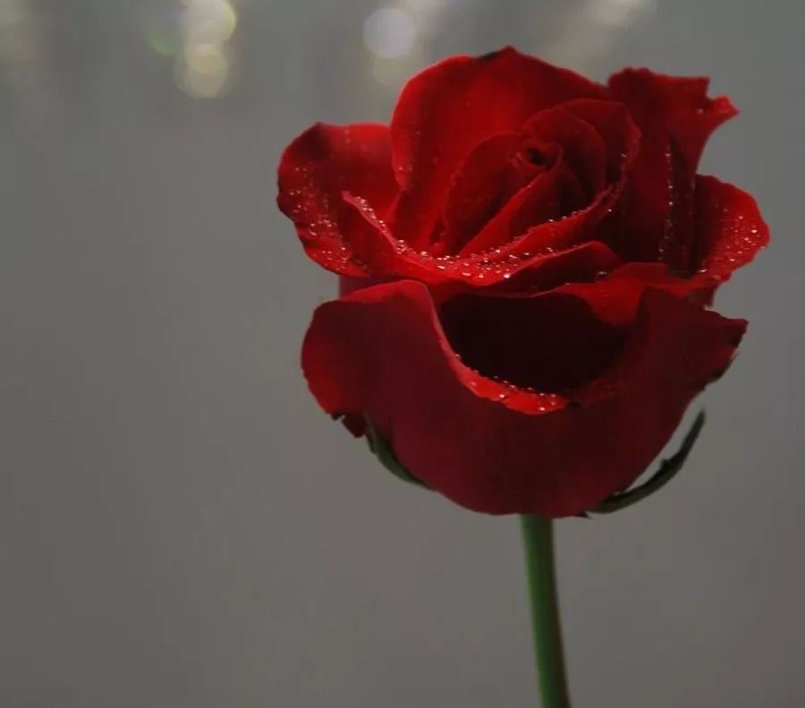 生气如何改善,生气时怎么缓解对身体的危害