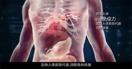 湿气重的懒人方法,湿气重做什么动作可以排湿