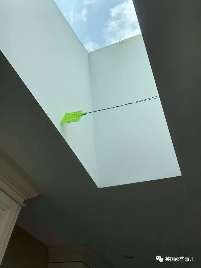 FUN||不开心？不如看沙雕网友的倒霉日常开心一下吧哈哈哈哈哈哈