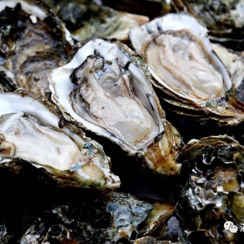 湛江有没有好景点,湛江有没有什么景点