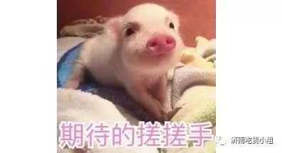 ladym上海店铺,ladym上海还开着吗