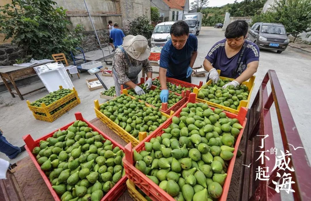 浜嗕笉璧风殑濞佹捣,浜嗕笉璧风殑濞佹捣浠婃棩澶存潯