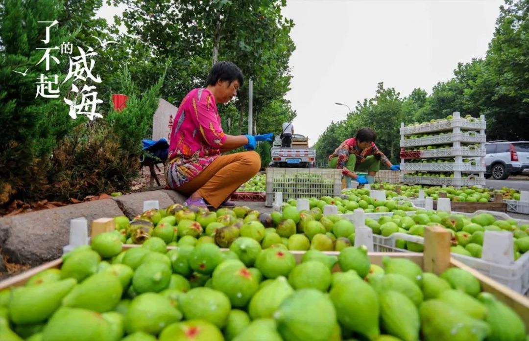 浜嗕笉璧风殑濞佹捣,浜嗕笉璧风殑濞佹捣浠婃棩澶存潯