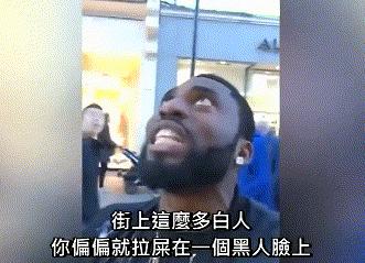 鸟屎为什么是白色的,鸟屎为什么有各种颜色