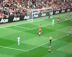 鸟屎为什么是白色的,鸟屎为什么有各种颜色