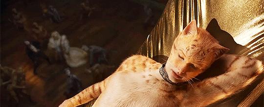 乐坛大佬组团关门“搞副业”，小清新入职报道狂减40斤？