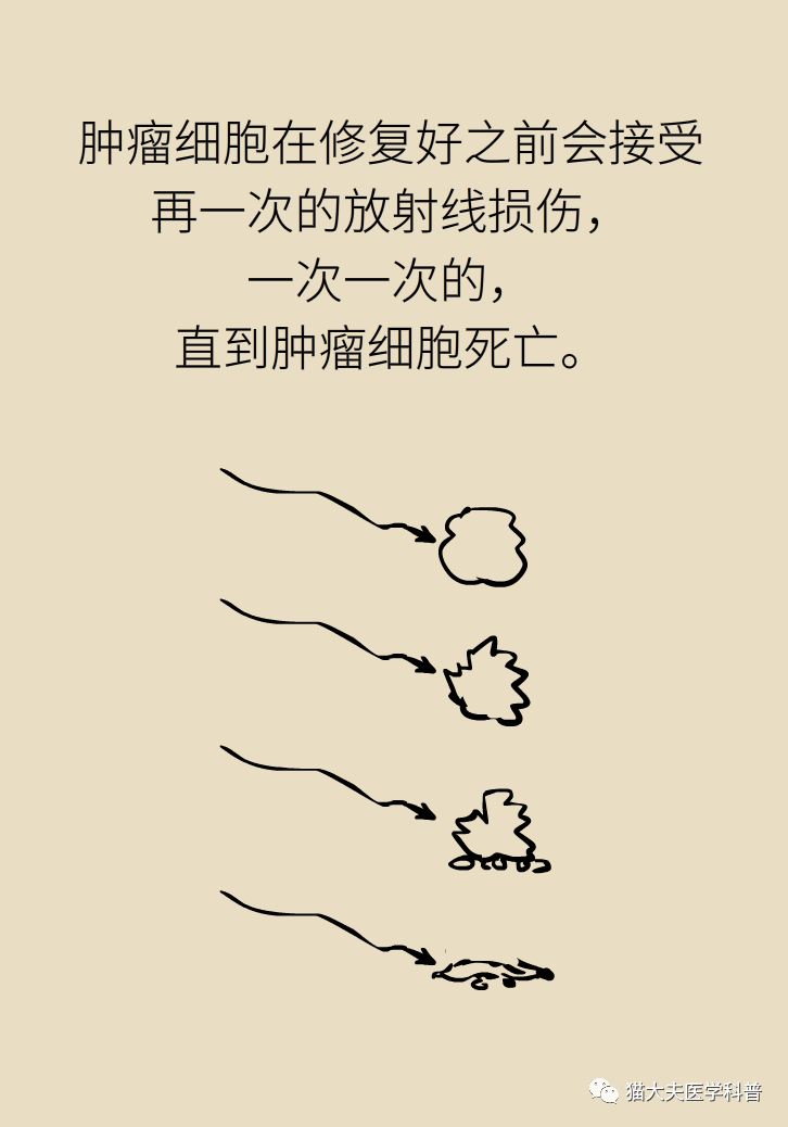 一文读懂癌症,一文看懂放射治疗