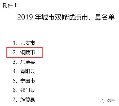 铜陵城市双修名单,铜陵城市双修改革名单