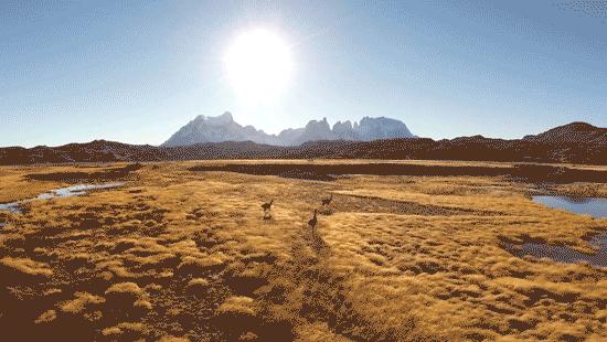 美洲多发各类消化道、接触传播传染病等,谨防来袭!