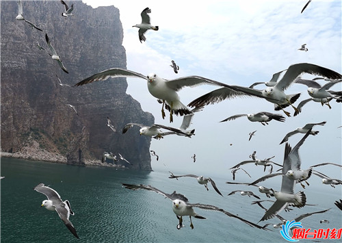 烟台海边长岛美景,烟台最美海岛之长岛