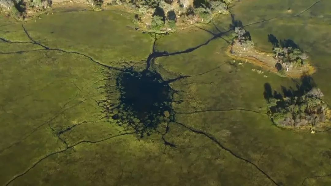 惊掉网友下巴的画面,豆瓣9.1分令人绝望