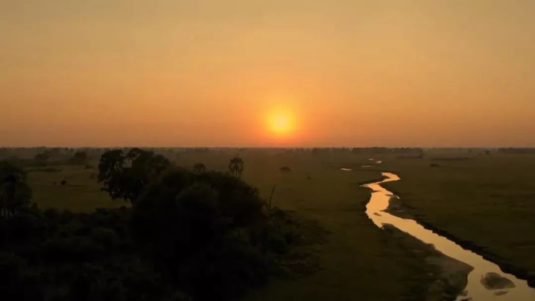 惊掉网友下巴的画面,豆瓣9.1分令人绝望