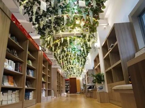 都上央视了！大学校园书店怎么突然这么火？