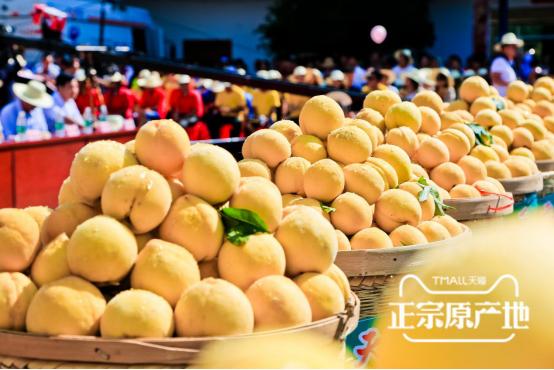 炎陵黄桃品牌大全,炎陵黄桃品牌