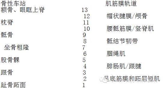 康复治疗技术人体解剖学,12条筋膜链解析及治疗手法