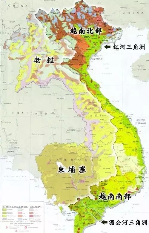 越南超浓缩咖啡原味,越南罗布斯塔咖啡