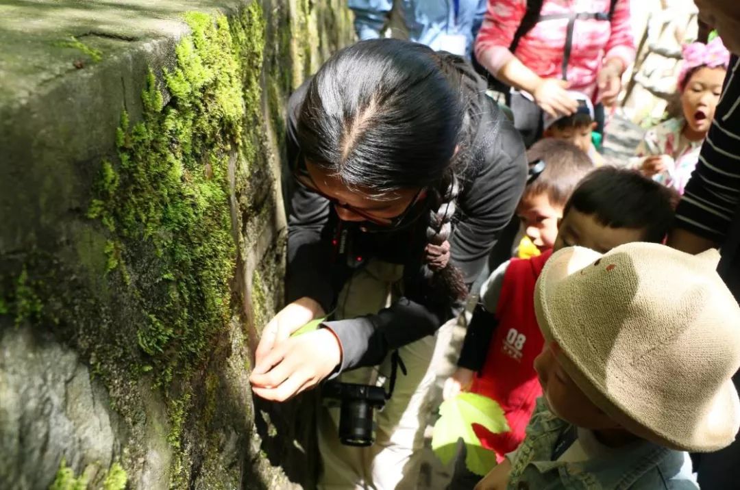 假期游夏令营,夏令营不玩手机