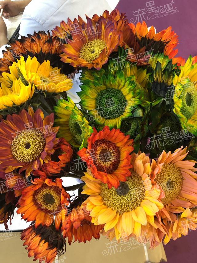 湖南流星花园鲜花店加盟品牌企业,流星花园花艺加盟店