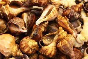 秦皇岛赶海哪里有螃蟹,秦皇岛蟹贝湾赶海