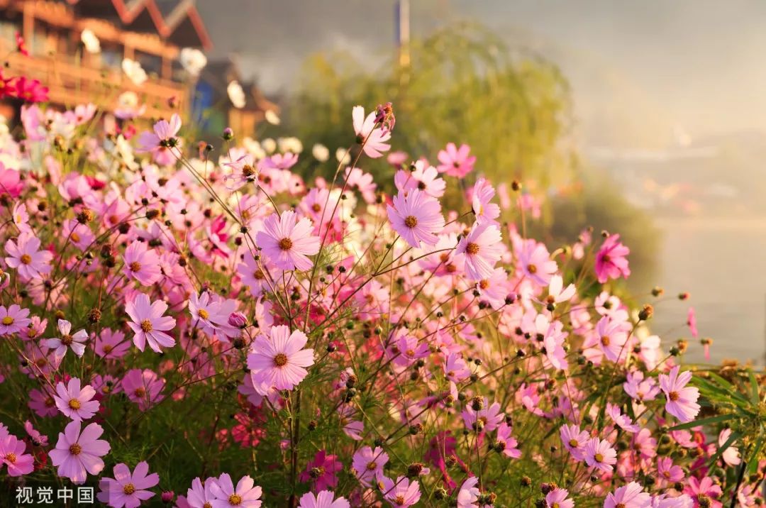 昆明到攀枝花的高铁时间表,昆明攀枝花快速铁路