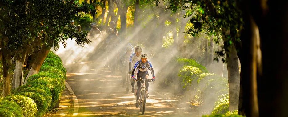昆明到攀枝花的高铁时间表,昆明攀枝花快速铁路