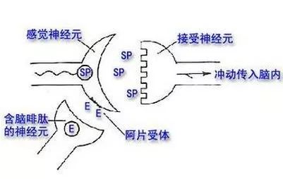 *洛因海**为什么这么难戒断?多半都是因为疼痛太难忍,远离*品毒**!