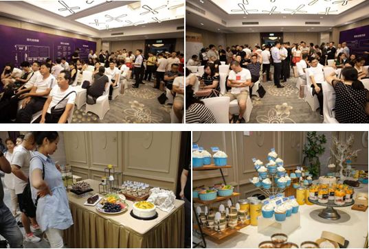 “星耀天汉宏创未来”红星美凯龙汉中堂宏商场全球招商发布会荣耀启幕