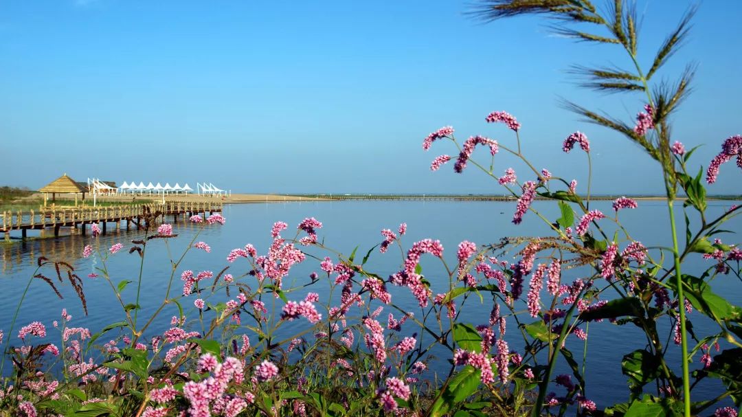 便宜又清凉的避暑地,避暑地推荐